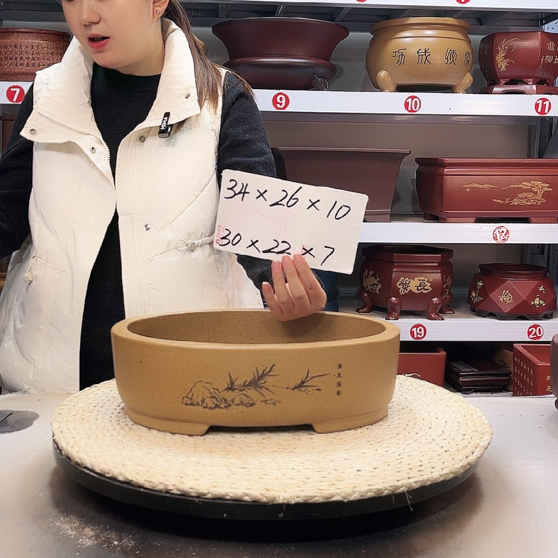 紫砂花盆紫砂花盆里