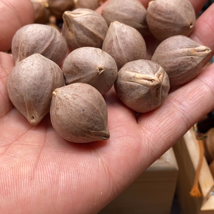 吊坠橄榄核刘*刘