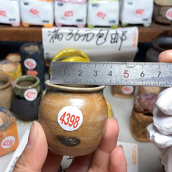 红陶拍5送一个小