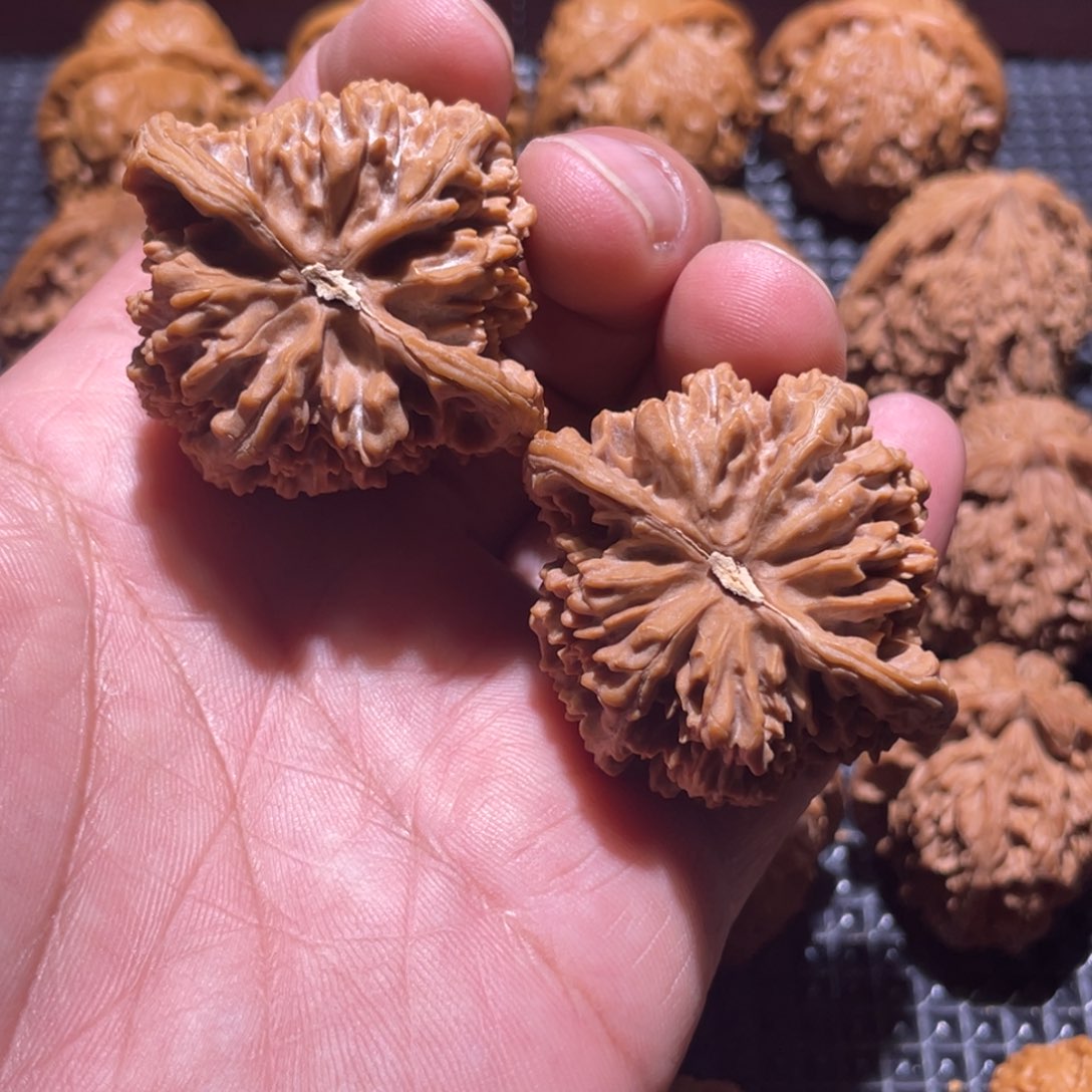 排***长核桃43全品老树满天星