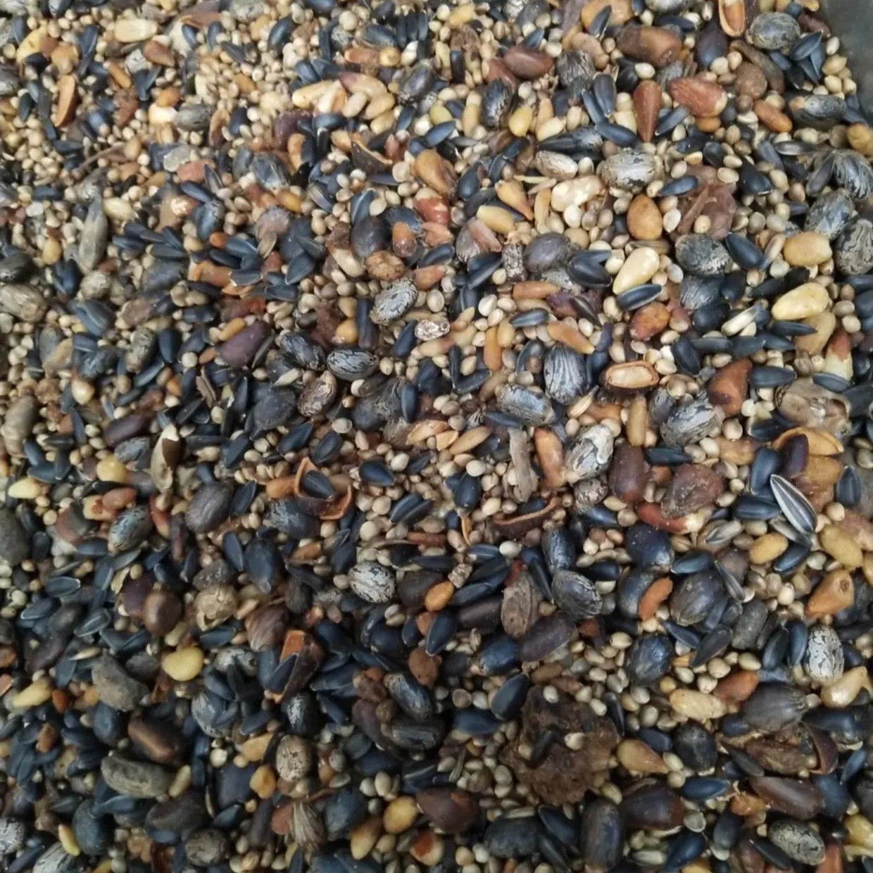 升级版万能缓释腰肥三斤开包既用强力推荐