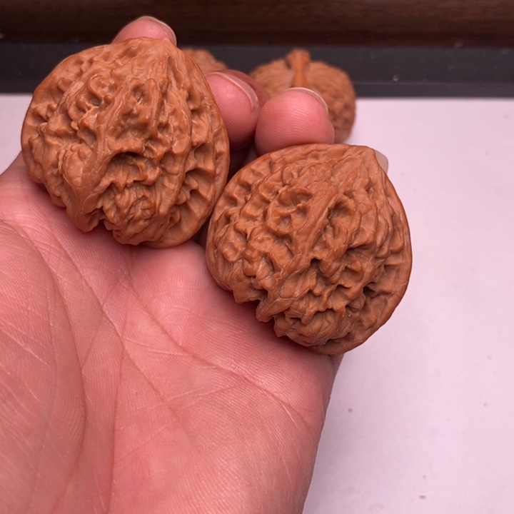 嘿***咻野牛狮子头43尺寸一点修