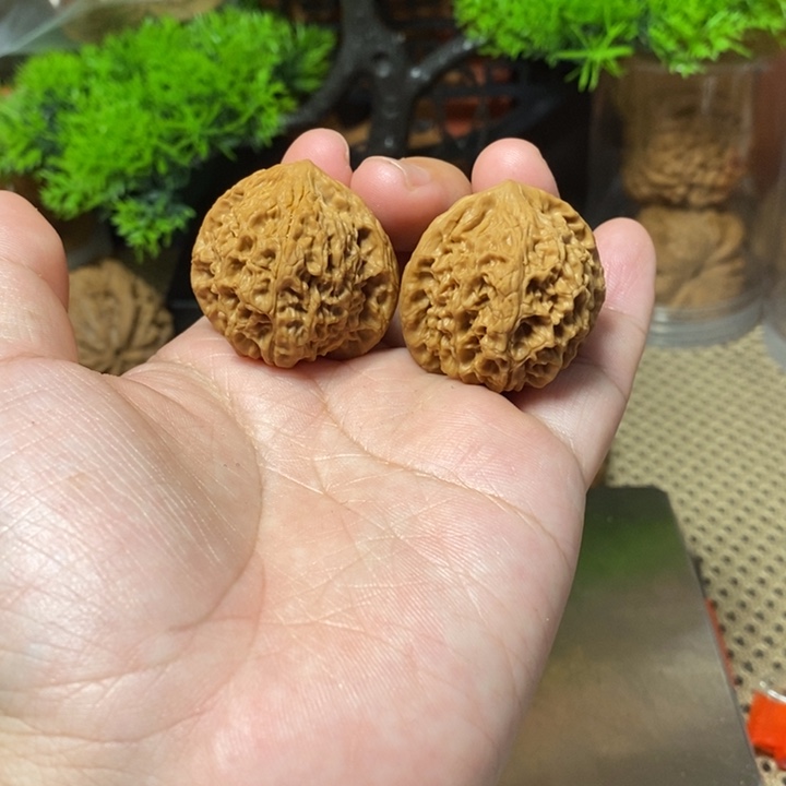 核桃手串/手链野生果32微修