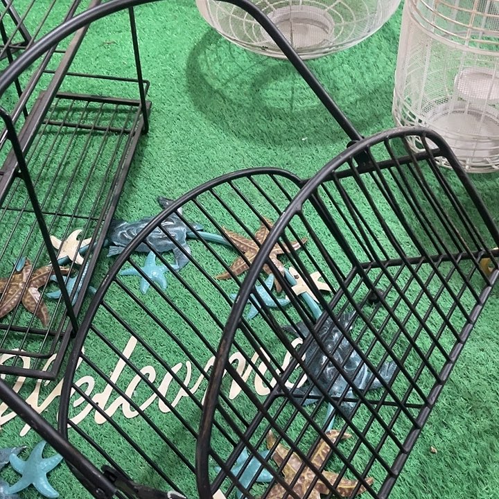 炸炸炸炸炸炸炸炸炸炸给力