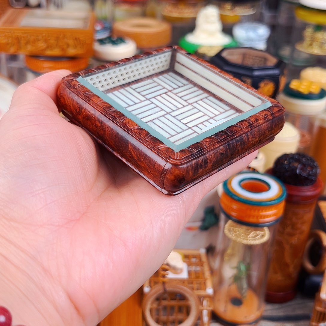 缅花樱木大方黄蛉盒