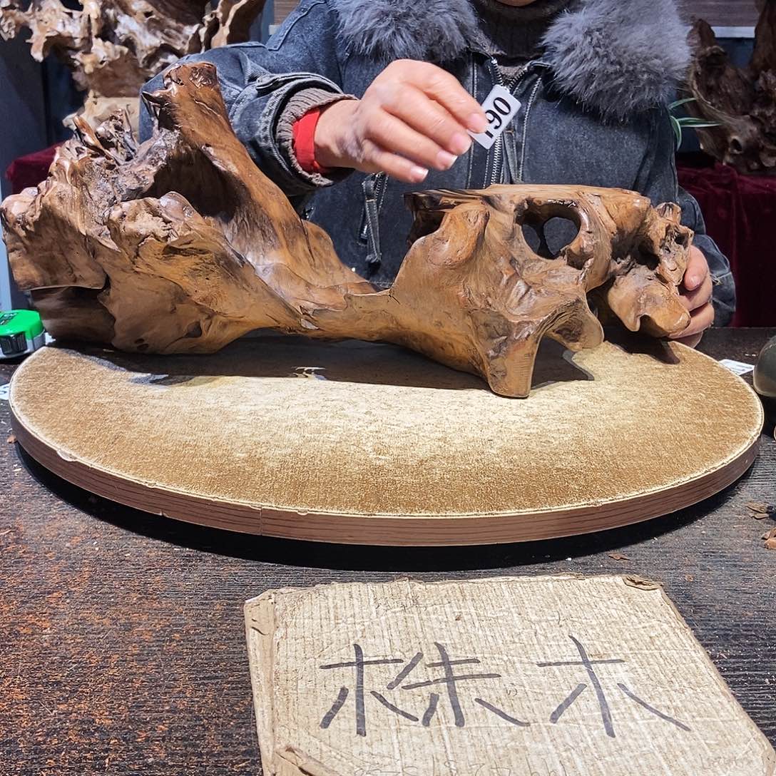 老***复190。株木随行根艺