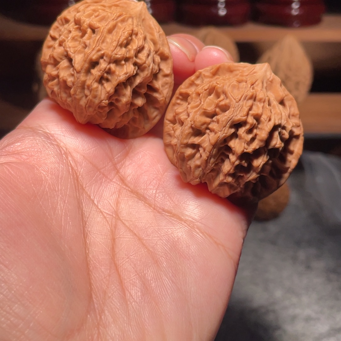 核桃其他Mini盘龙纹全品红38