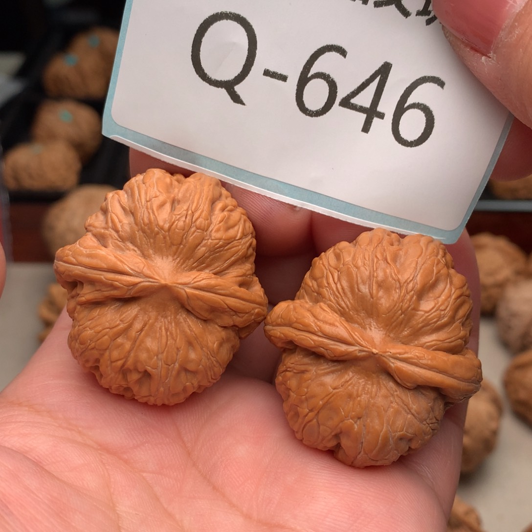 文玩核桃把件38元宝……….