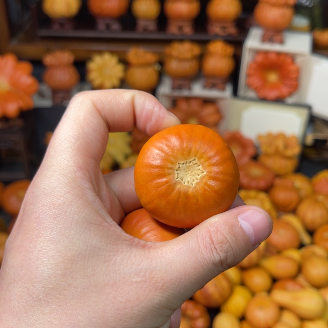 1*葫芦葫芦葫芦了葫芦葫芦