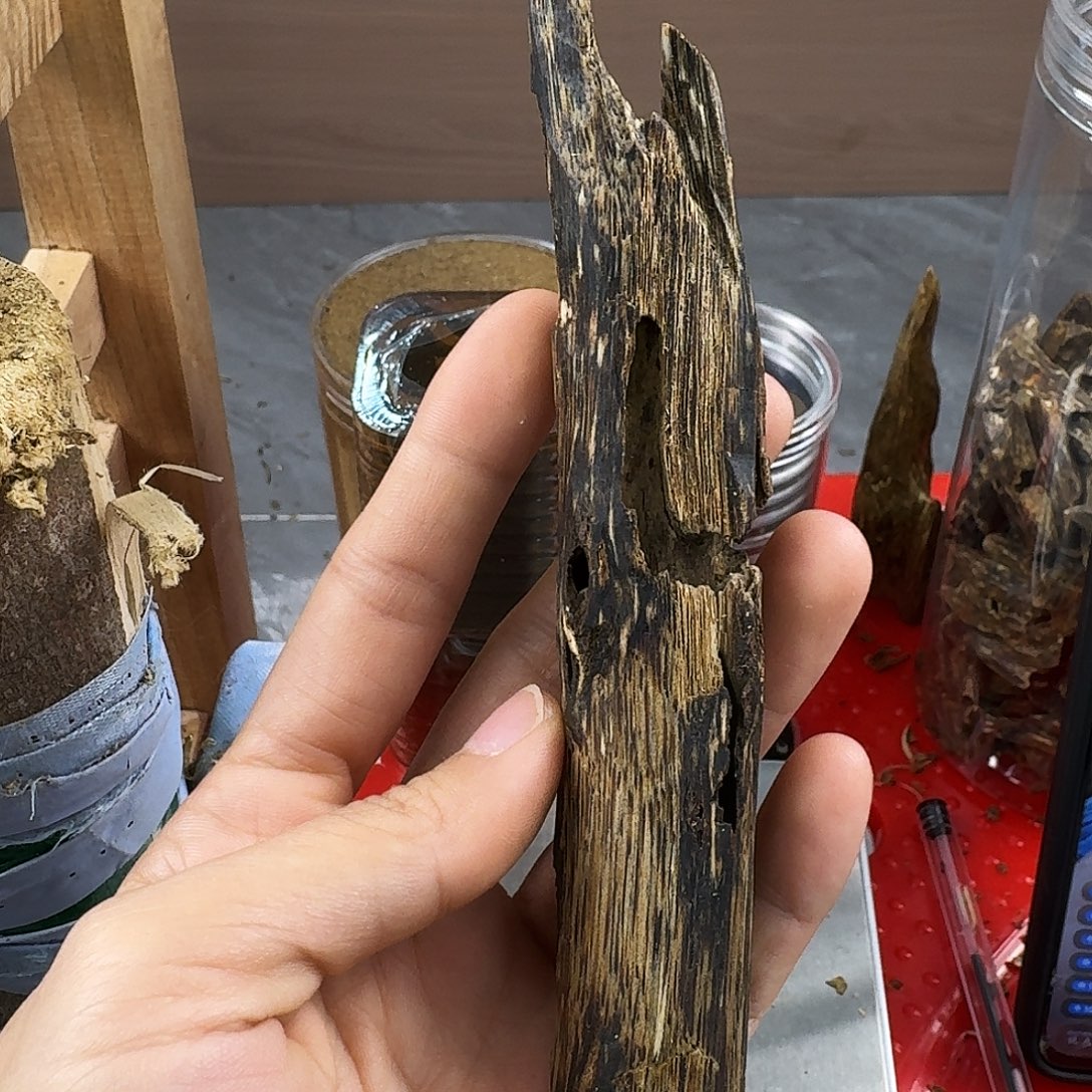 香料绿奇楠陆河天然虫漏17克