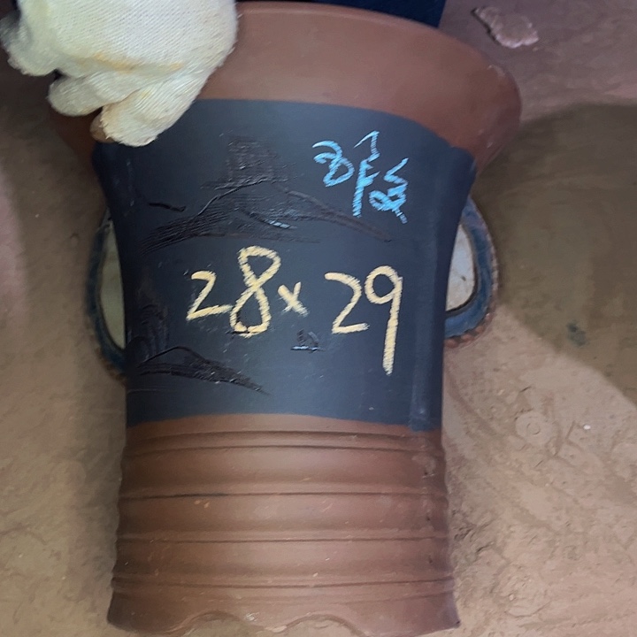 紫砂艺术学院美术