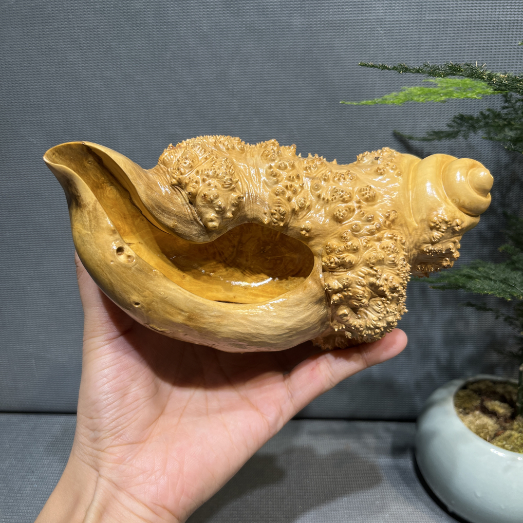 黄杨木瘤疤精品把件——海螺，造型精美，手工雕刻，可收藏，尺寸：17/79