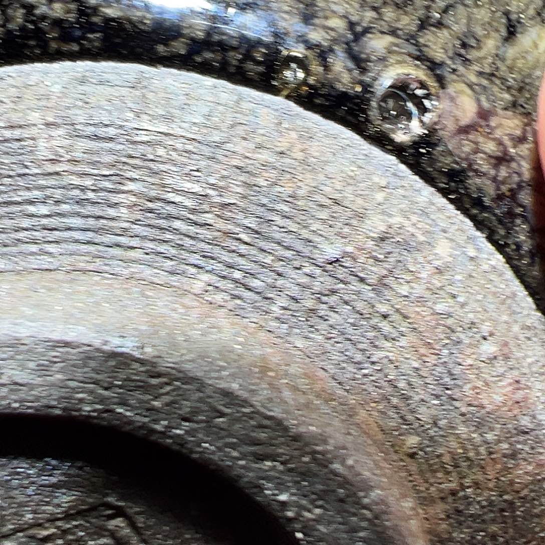 香***梨茶盏唐代大南坑行知建盏191