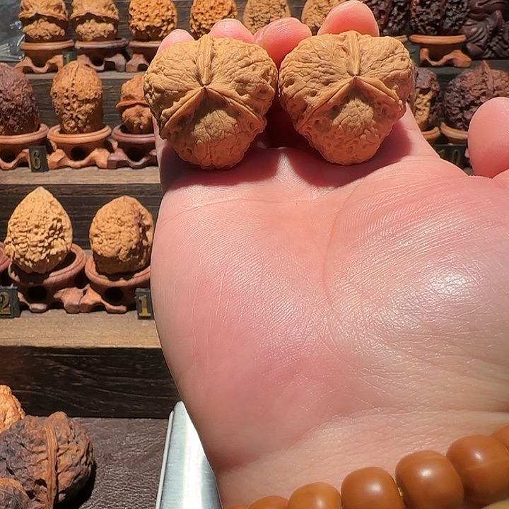 孔***仁核桃云铁七星三棱手捻35尺