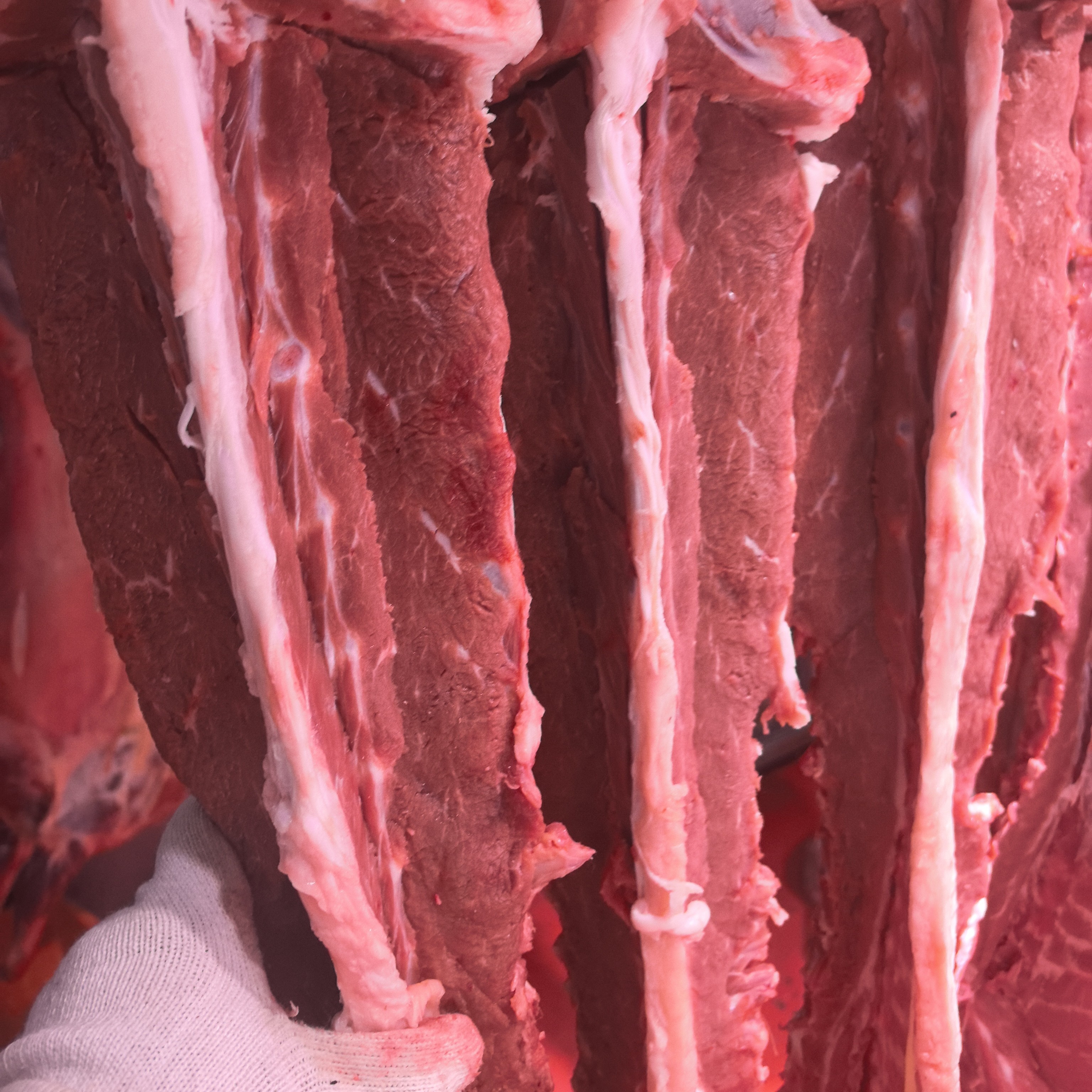 新鲜精品羊蝎子 一根7斤