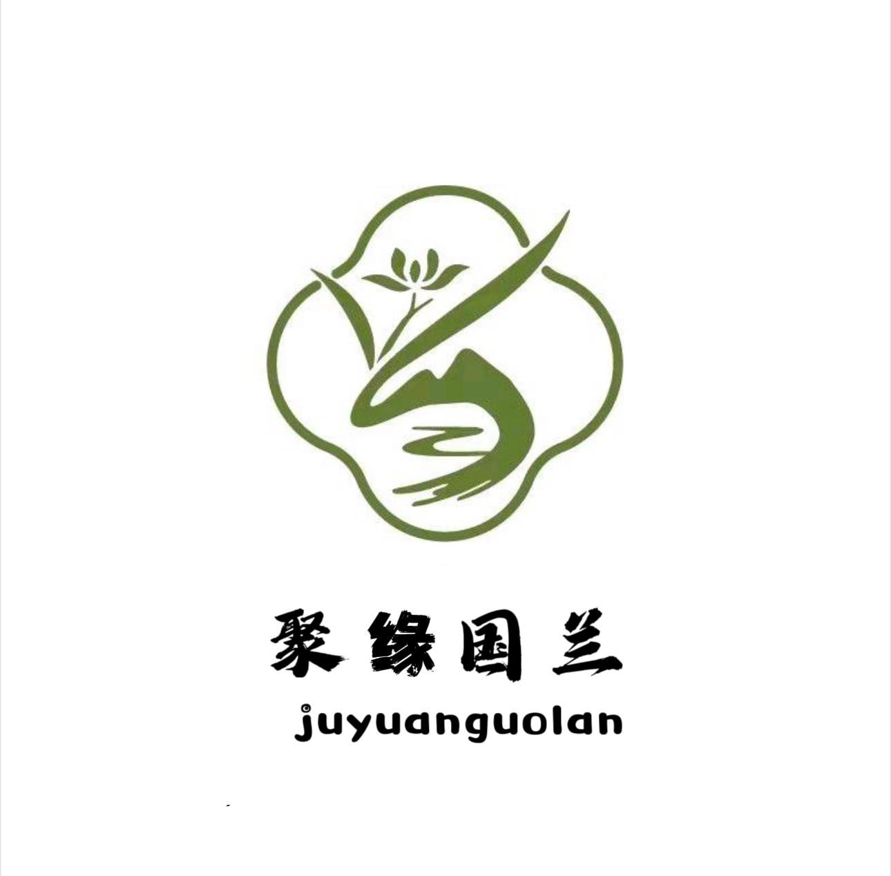 聚缘国兰直播专用（花卉绿植）