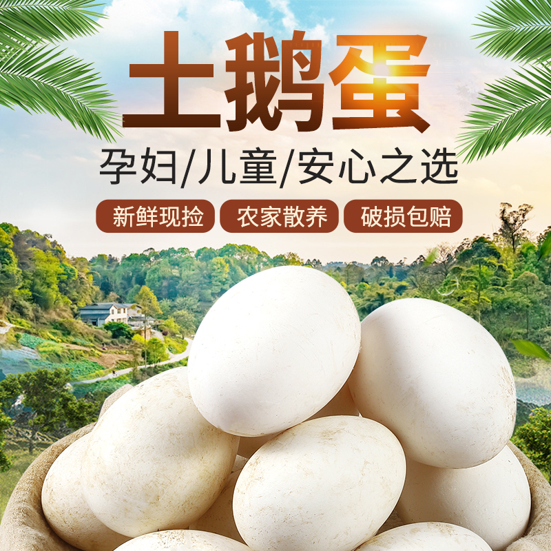 【阿谷农场】鹅蛋新鲜农家散养土鹅蛋正宗散养大鹅蛋特大号鹅蛋批发
