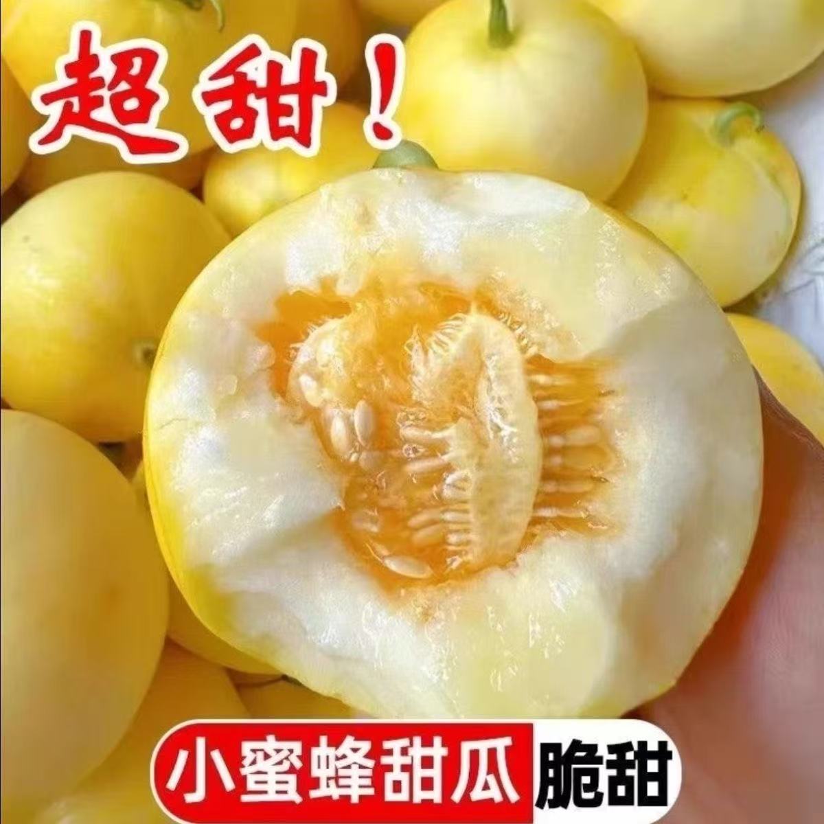 【产地直发中通快递】山东头茬小蜜蜂甜瓜星甜20新鲜应季直供