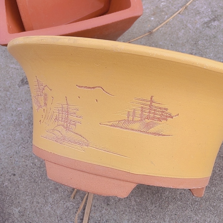 紫砂33黄票口哈哈哈哈哈