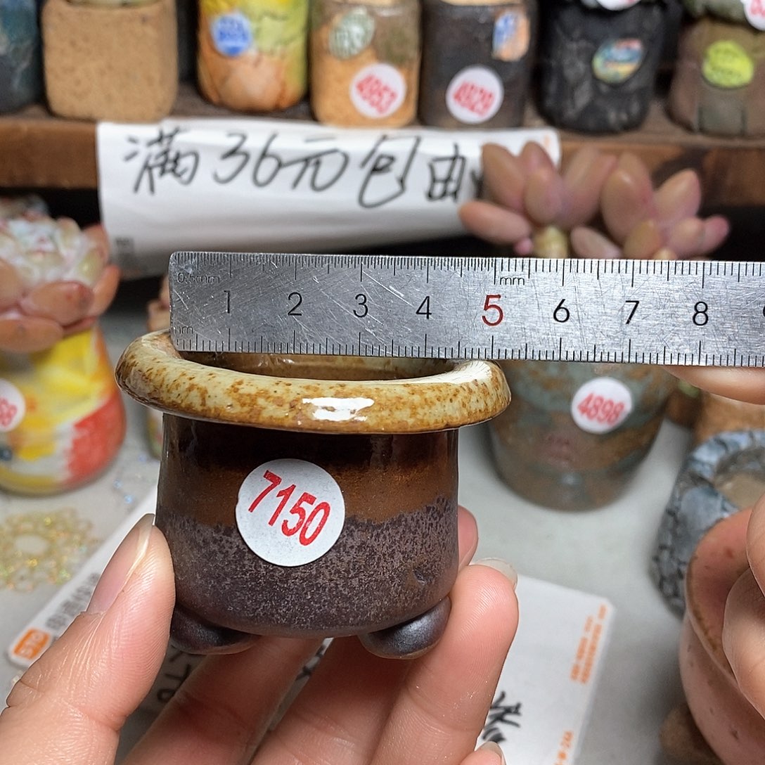 红陶拍5送一个小