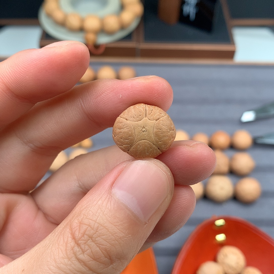 手串凤眼菩提18+五星，非质量问题开孔不退