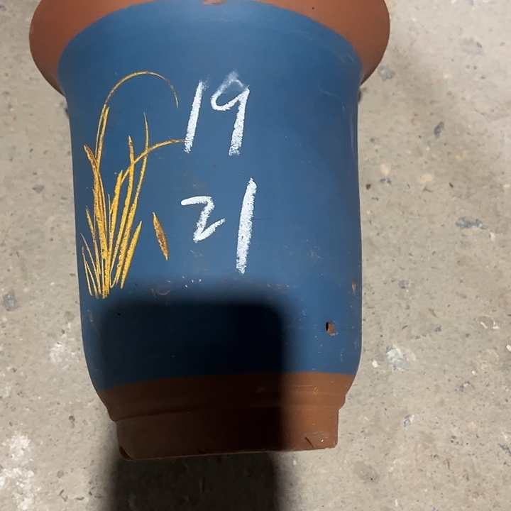 紫砂工艺厂……紫砂工艺厂……