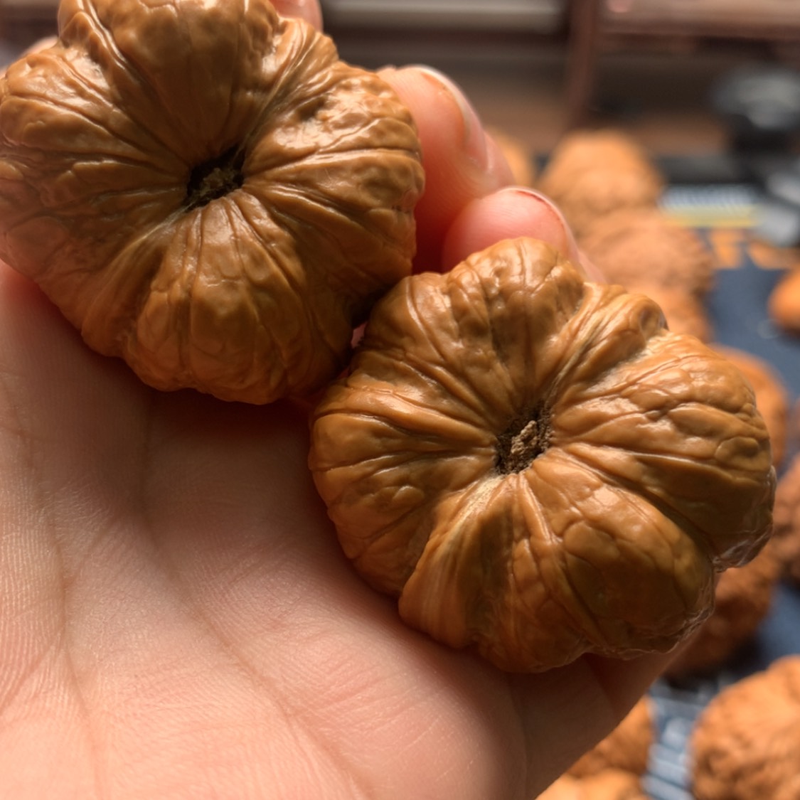 【闪购商品】把件文玩核桃大*子玉蝉39