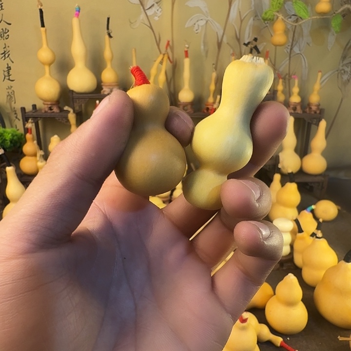 阿***姐葫芦感谢大姐的支持