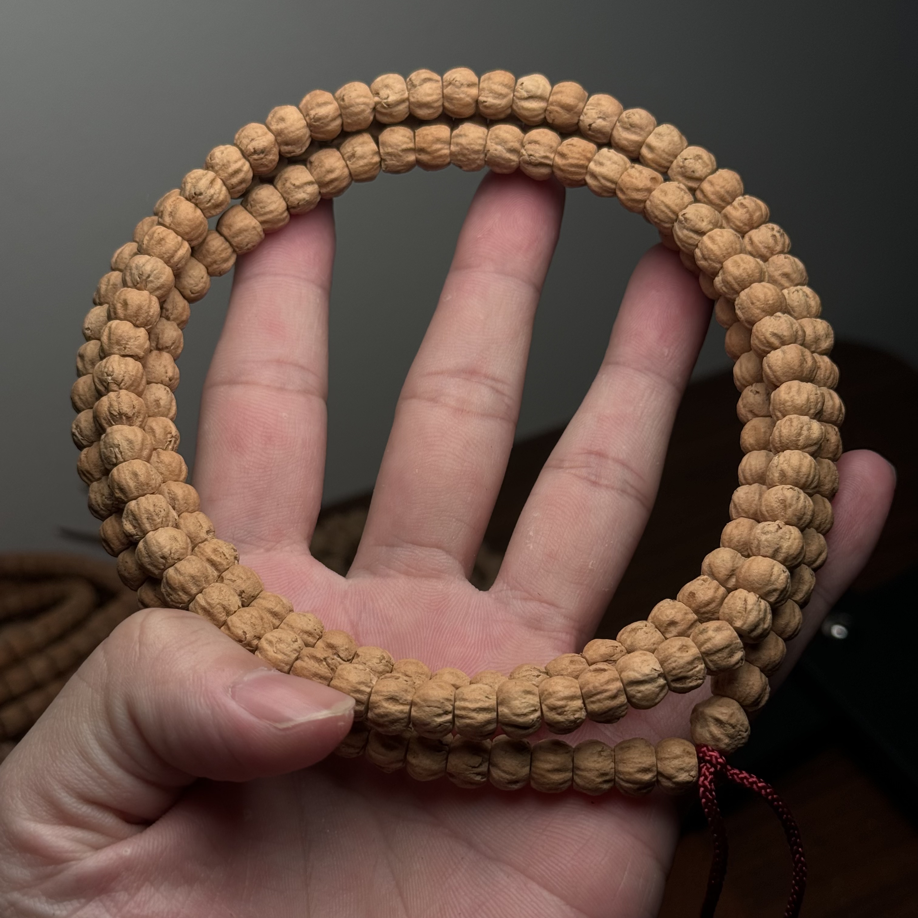 热振柏香籽饱满莲花元宝尺寸7.5