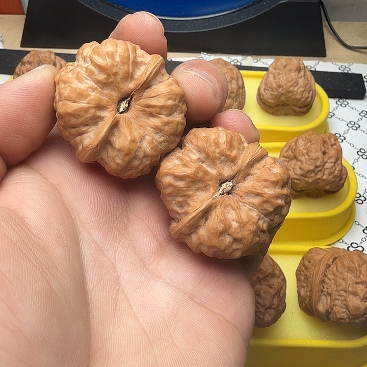 Y***t把件文玩核桃39尺寸蛤蟆头，大等腿