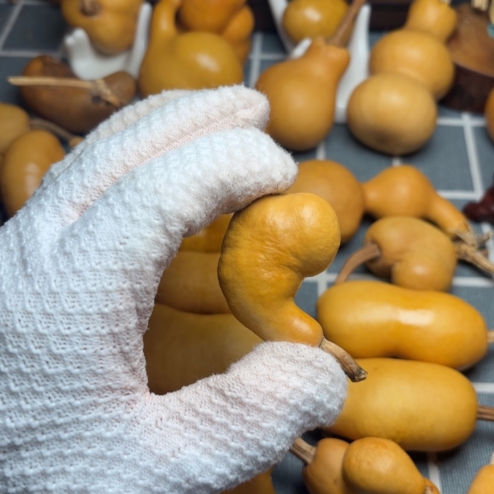 蜗***.葫芦6666666666666