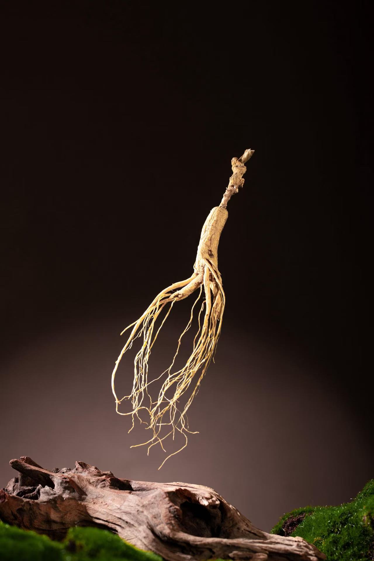 【林下参】长白山林下参高龄滋补佳品可煲汤泡酒煮茶产地直发