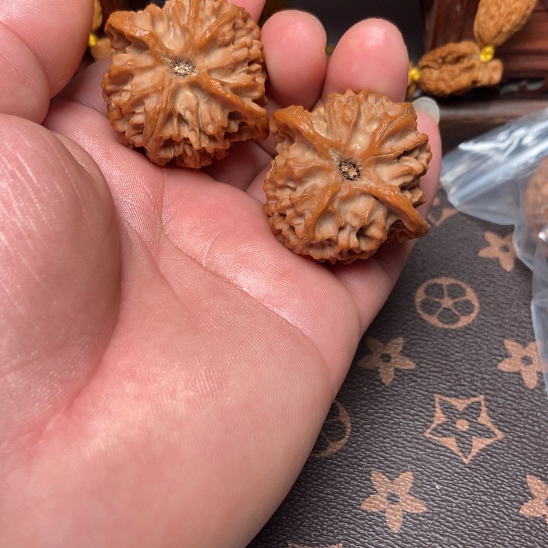 大叶紫檀（黑酸枝木类）苹果园