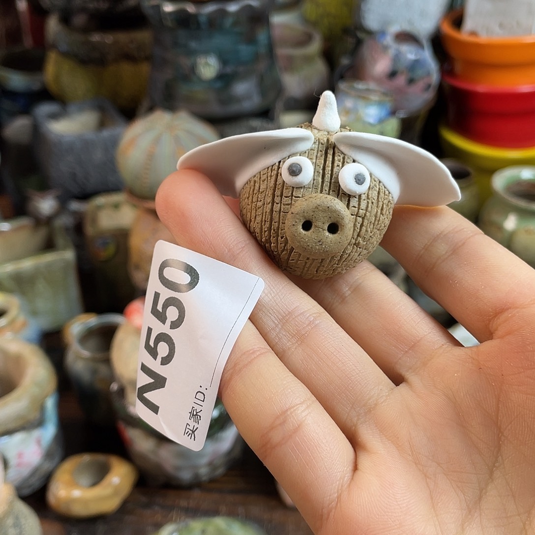 秋***爽坛子姐花盆！双十二限时活动！恭喜中奖