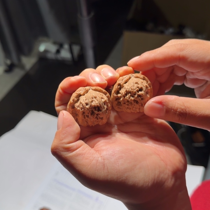 文玩核桃把件544号41mm全品三角白