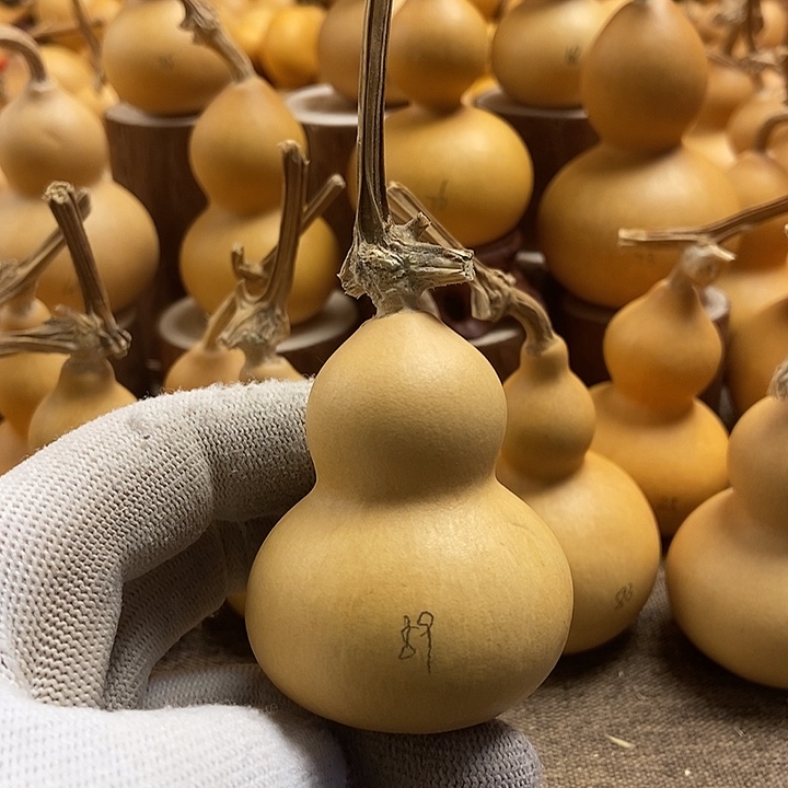 文玩葫芦 完美主义者 慎拍89