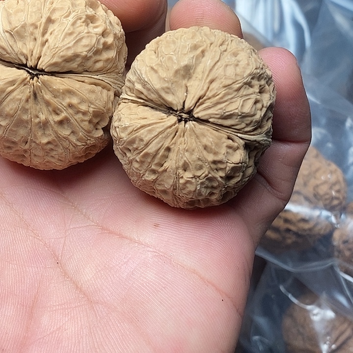 文玩核桃把件         20