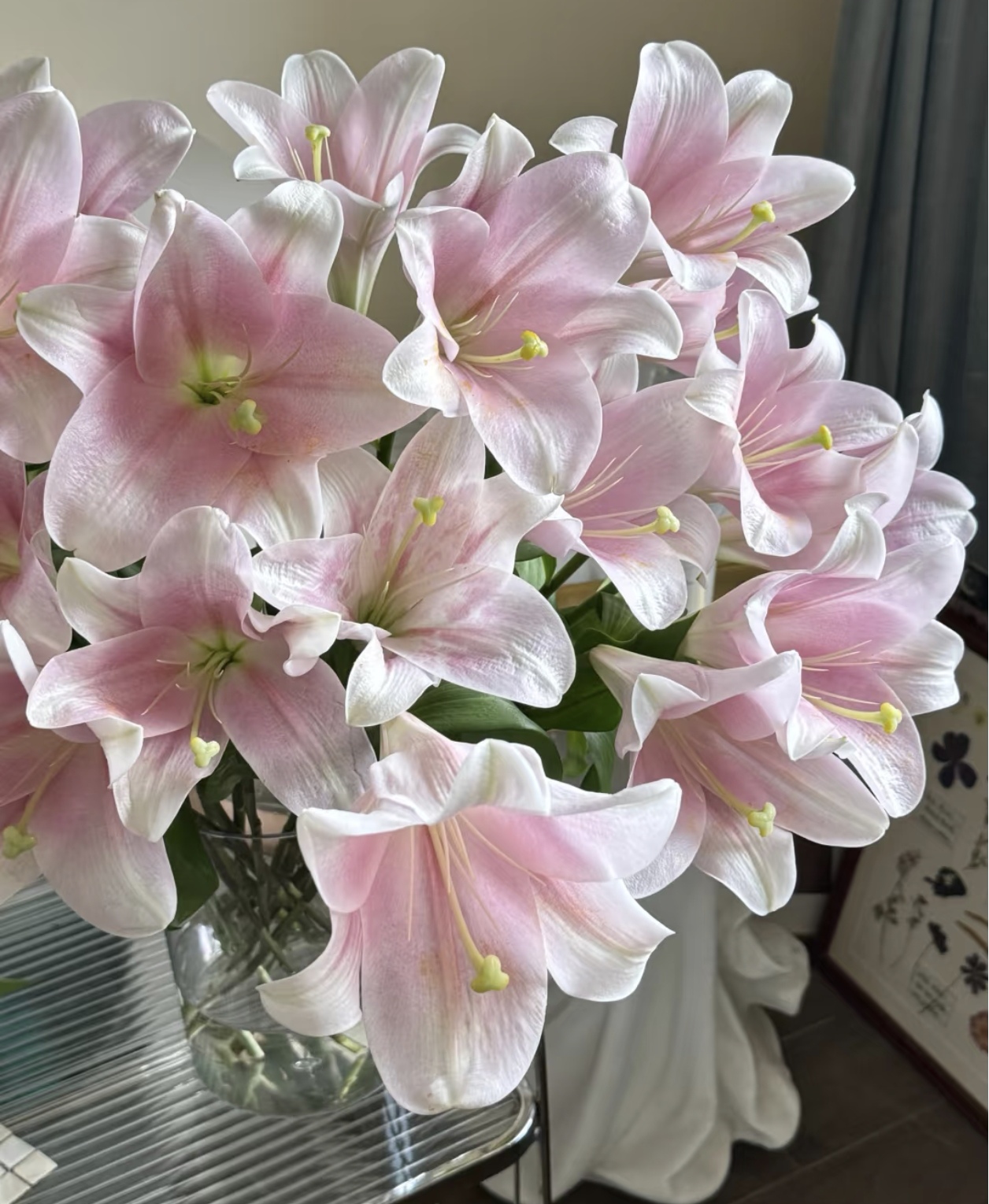 基地粉铁炮多头单瓣百合鲜切花1单顺丰包邮在送保鲜剂