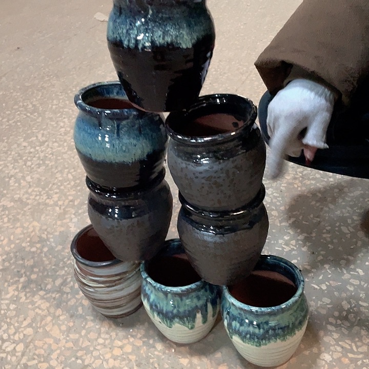 正品10/12八个处理