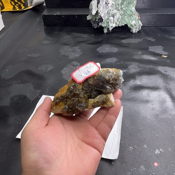 小***免石材46号586666585669