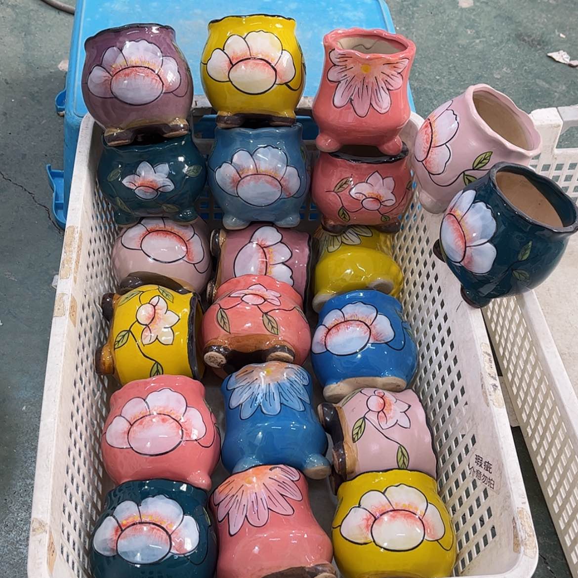 【闪购商品】红陶1369