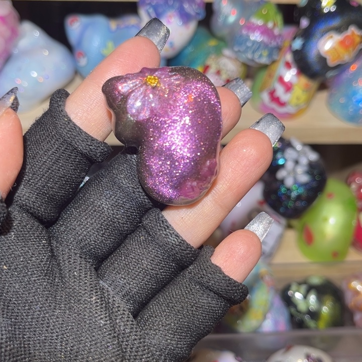 中国大陆寄居蟹替换壳1.7