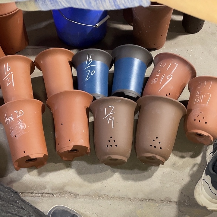 红陶紫砂紫砂紫砂