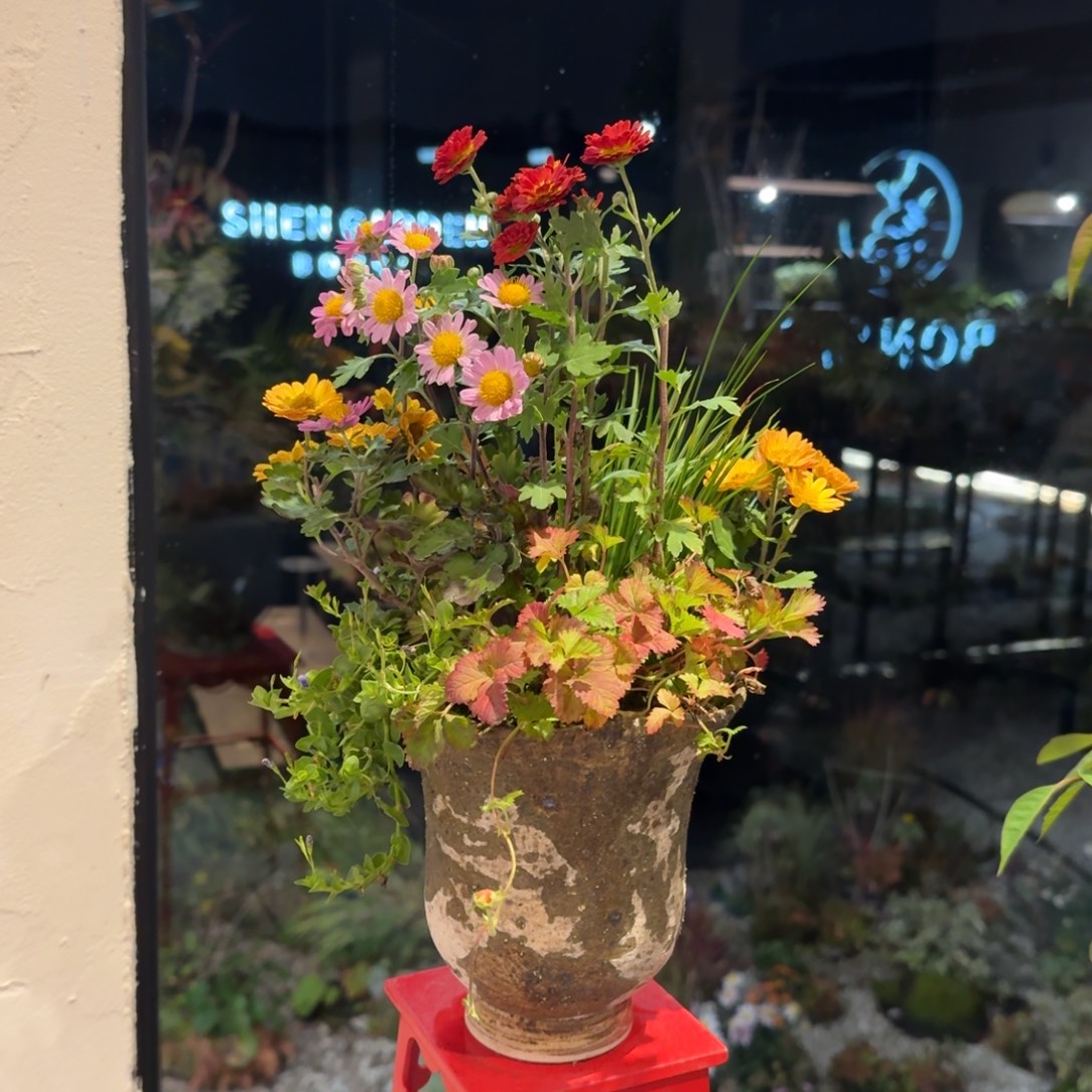 全部花朵山野草手作盆
