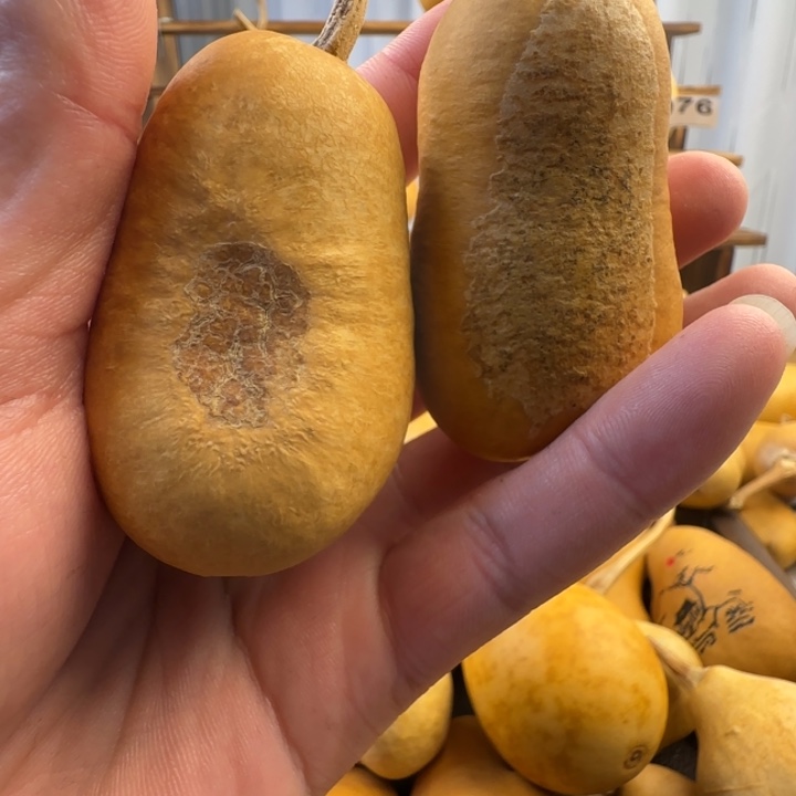 定向葫芦定制拉哈