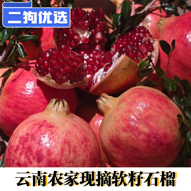 【二狗现摘】会理云南突尼斯软籽石榴新鲜现摘爆甜应季皮薄爆汁大果