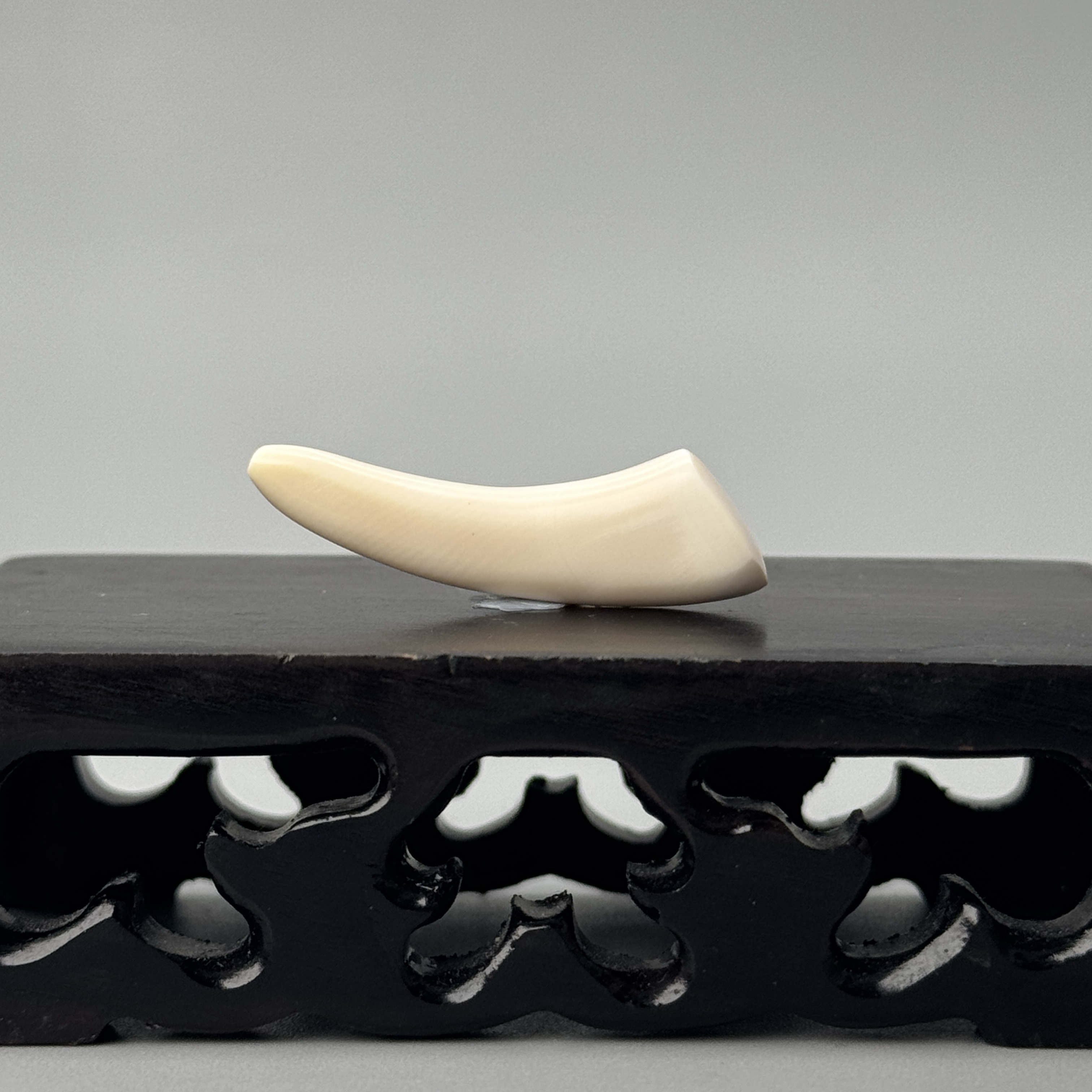 DEZHI/德志1.4g水印牙尖32*9*6mm猛犸牙默认打孔绑绳P218