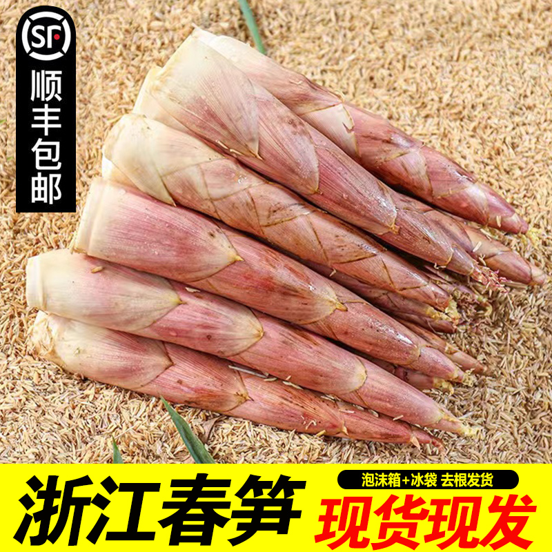 【大降价】临安春笋5斤天目山新鲜竹笋现挖雷竹笋腌笃鲜嫩笋尖3斤
