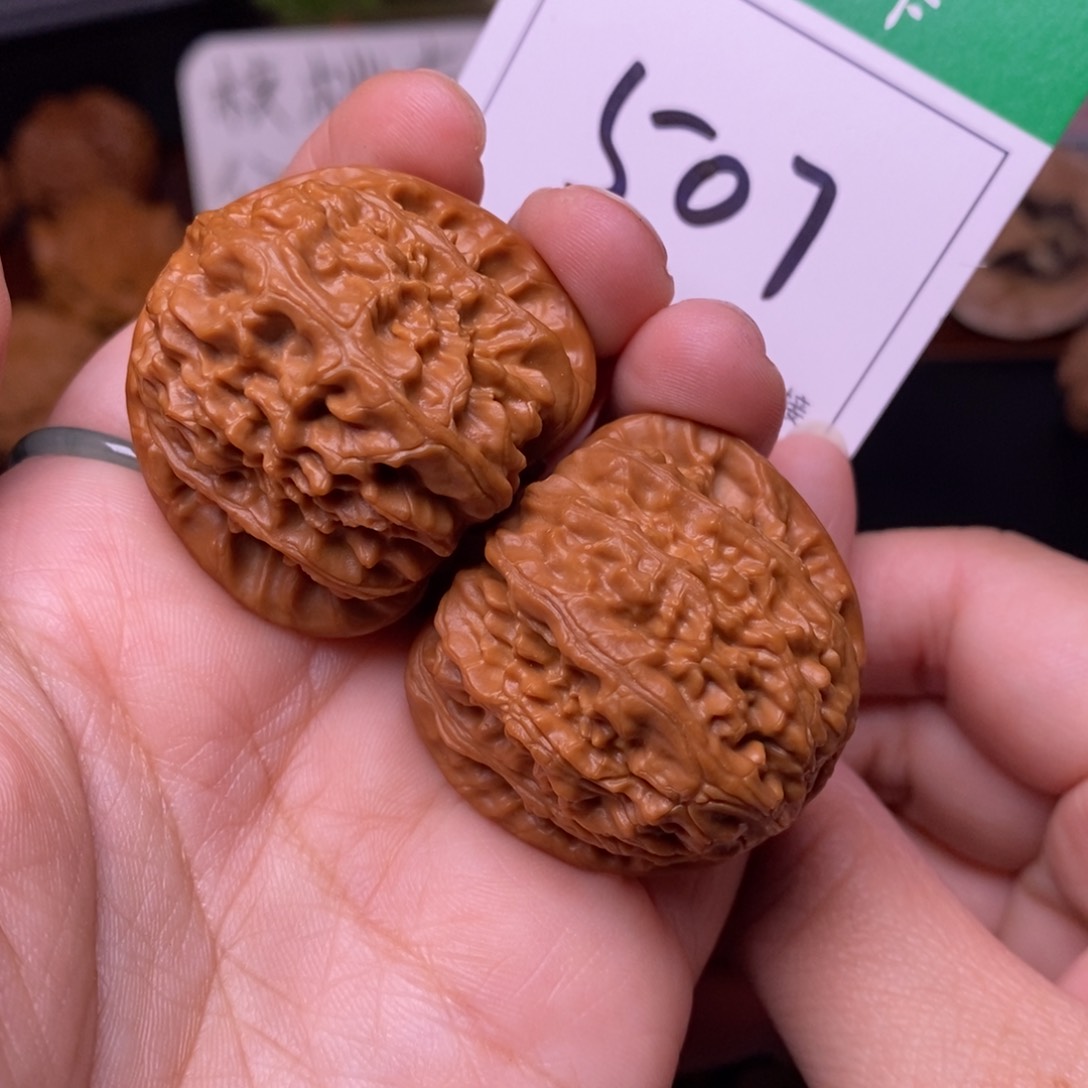 把件文玩核桃507三角白3.7