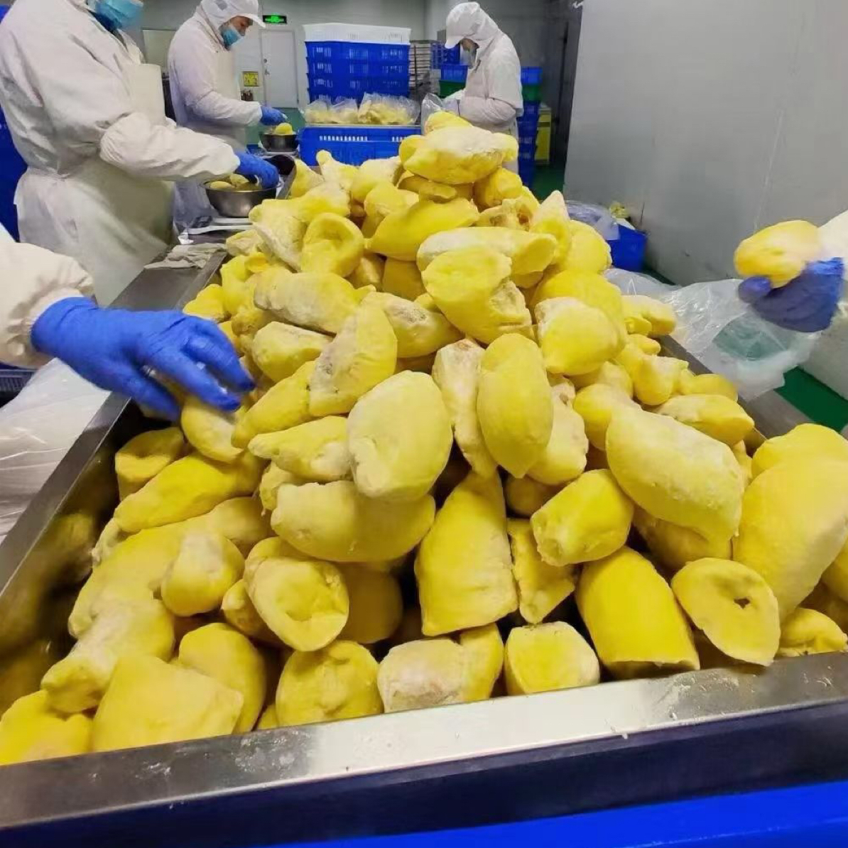 泰国树熟鞋冷冻榴莲核小斤新鲜金枕泰国